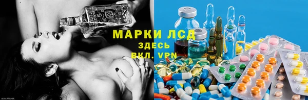 амф Алексин