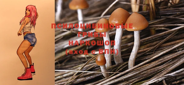 ешки Абинск
